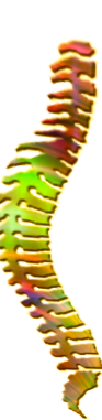 Physikalische Med.